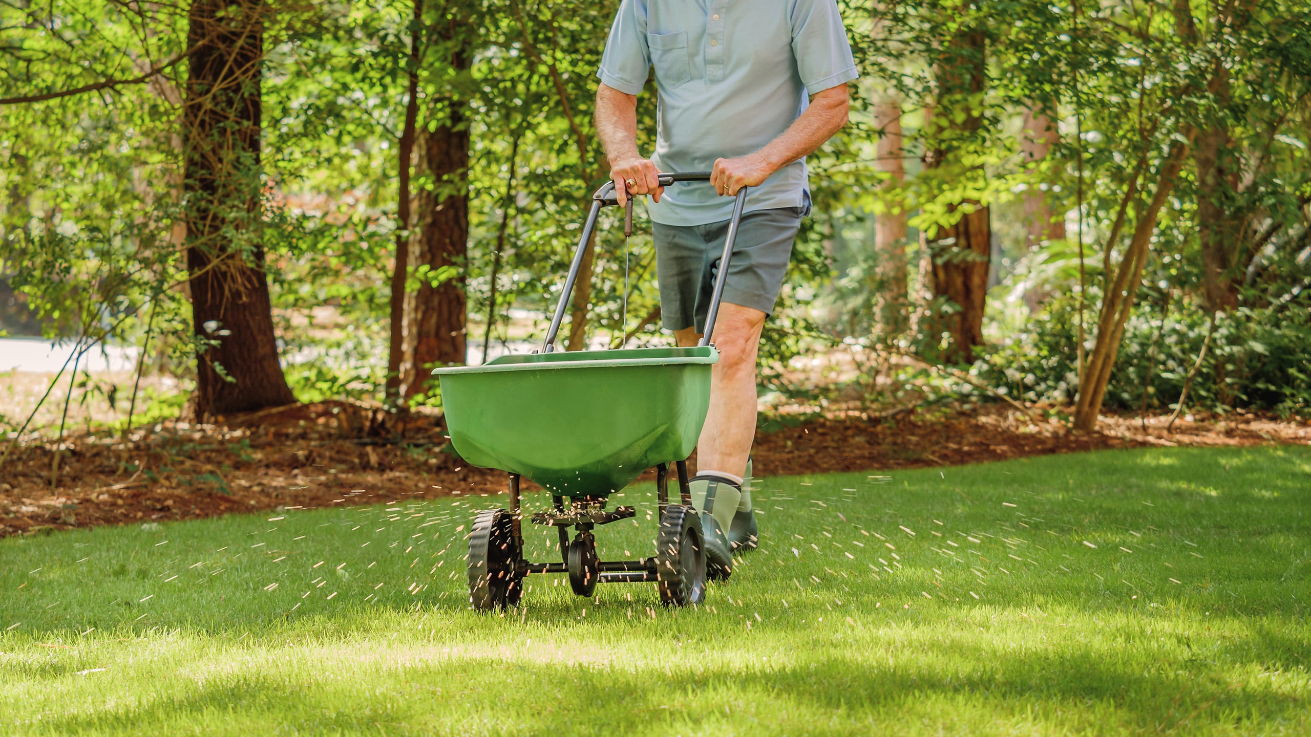 applying pet safe lawn fertilizer