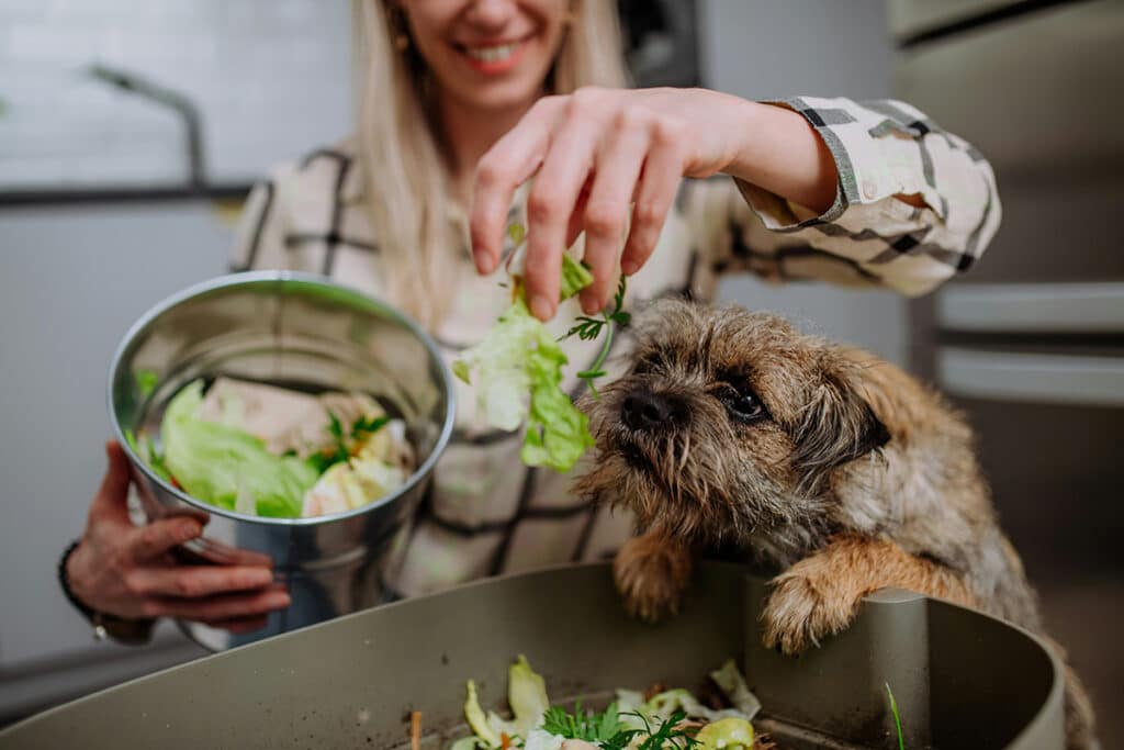 preparing home made dog food